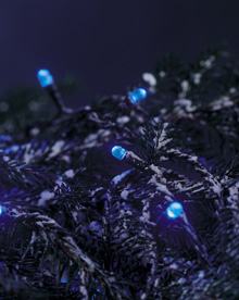 40 Blue LED Outdoor Christmas Lights