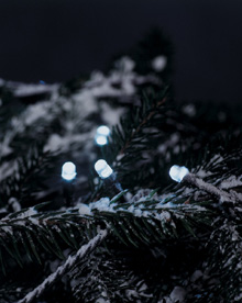 40 White LED Outdoor Christmas Lights